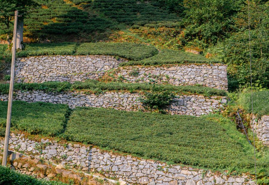 Two terraced walls with a planted bench between them on a Topeka hillside